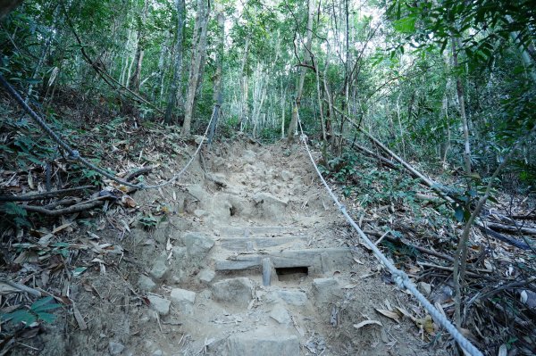 臺中 和平 白毛山、次郎山2670911