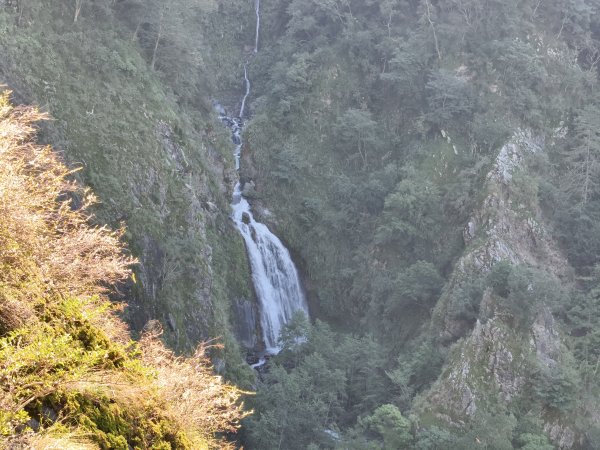 [玉山尋寶任務-07/12] 2025_0824 八通關雲龍瀑布步道2870647