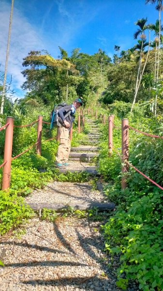 阿拔泉山/觀音石山/紅楠坑山 環狀2308165