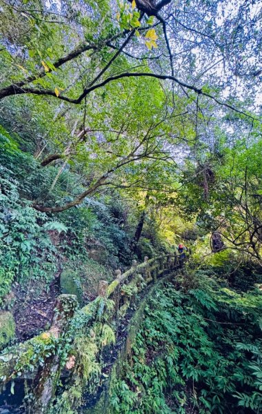 二格山走南邦寮山經草湳福德宮回二格公園3005869
