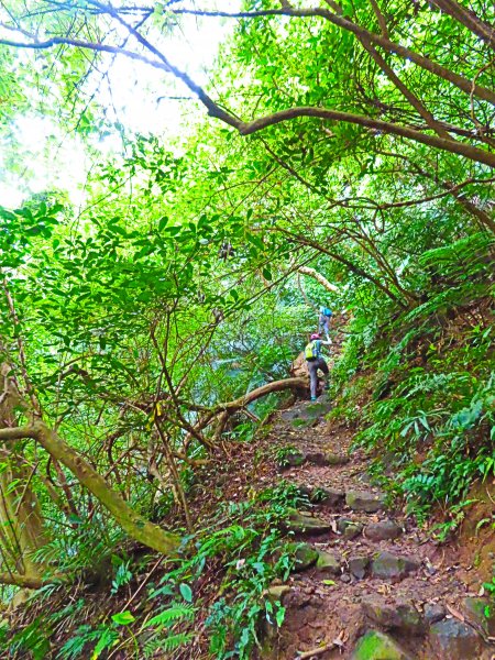 夏季清涼步道：翠峰瀑布與步道619624