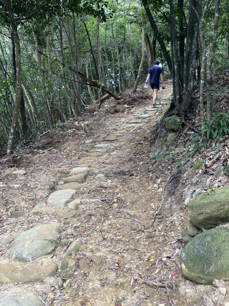 20250706-EP.07石光古道-2025森遊竹縣皮皮獅探險隊2851796