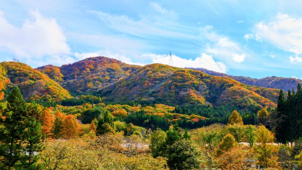 福島縣大內宿合掌屋2930241