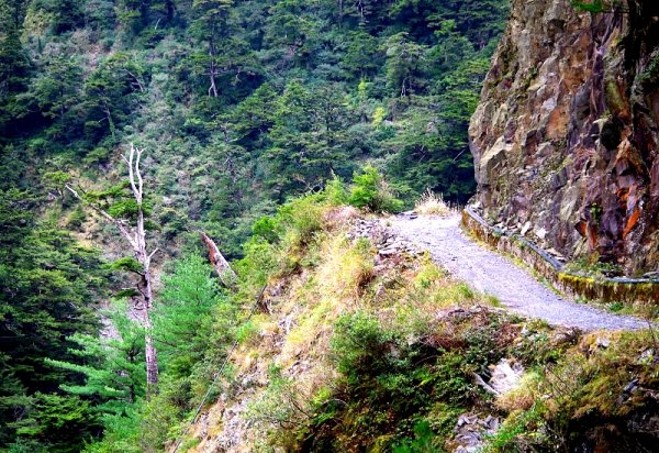 山風15度C吹拂 ~ 合歡溪 步道1551806