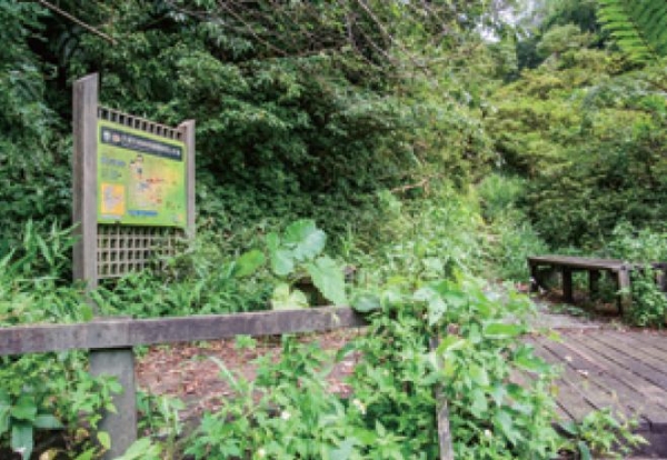 【書摘】《新北登山小旅行》－平湖森林登山步道