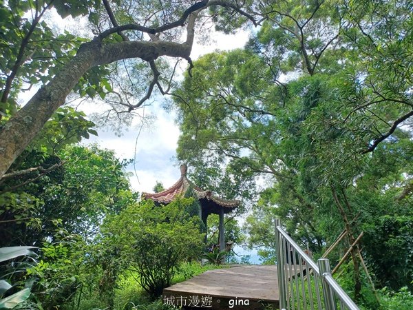 【台中潭子】爬山野餐趣。 新田登山步道x聚興山2899216