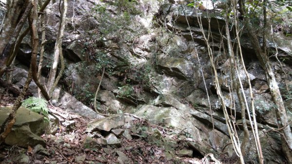 水雲三星之鳳（鳥嘴山）上島山1217434