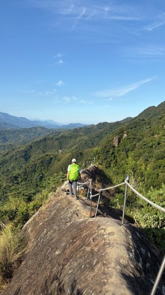 岩壁上的花、艷紅鹿子百合（12868986