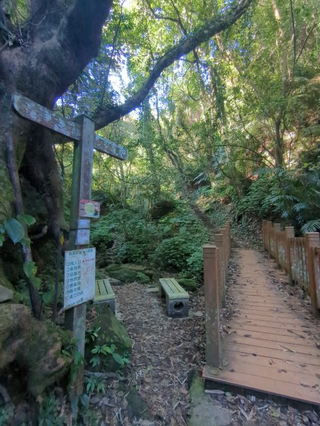 2025.11.15－鳴鳳古道2942992