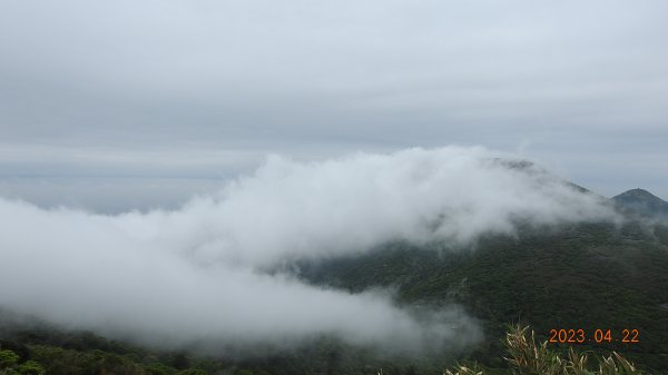 再見陽明山雲瀑，大屯山雲霧飄渺日出乍現，小觀音山西峰賞雲瀑。2123377