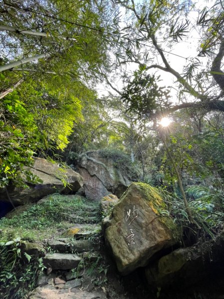 帕米爾公園1887079