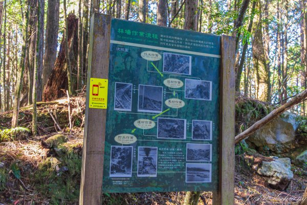 谷關七雄_八仙山2679624