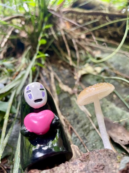 山野中的小精靈🧚‍♂️2289746