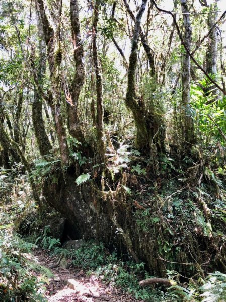 卑南族聖山都蘭山1777907