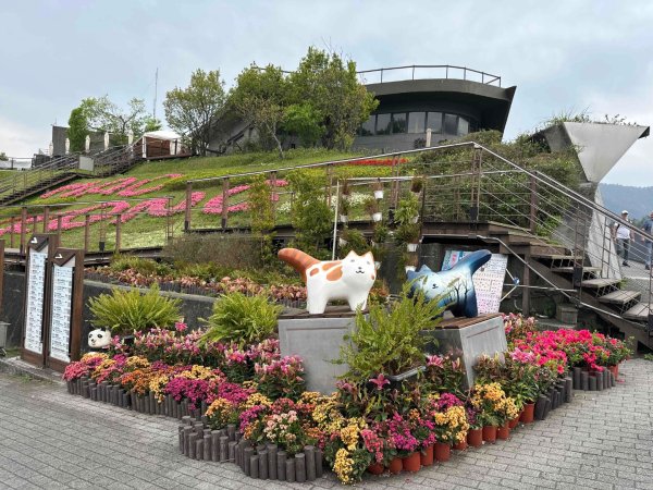 250307台北大縱走第七段2729349