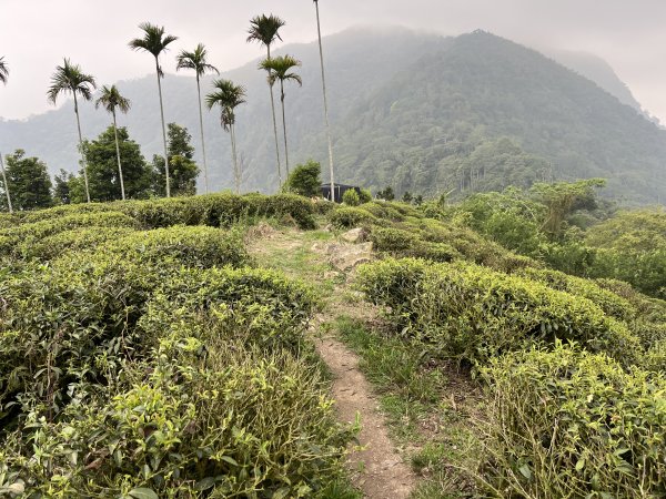 2023_0429_挑筍古道2138225