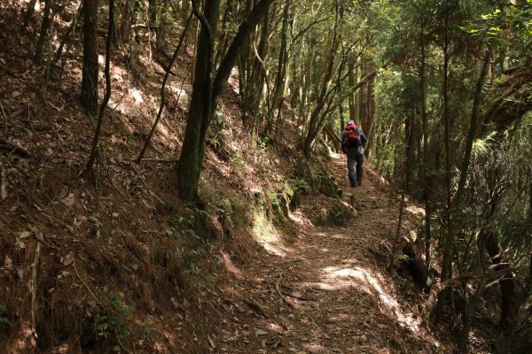 谷關七雄：新山馬崙山178326