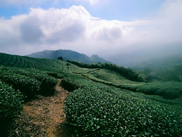 雲嘉連峰2365703