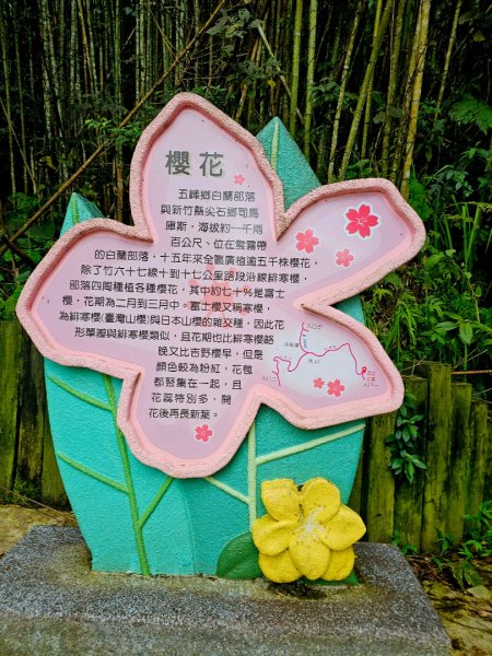 白蘭溪古道-2025森遊竹縣皮皮獅探險隊2895447