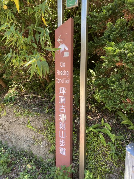 內雙溪的消暑密碼｜走一趟坪頂古圳就懂2873099