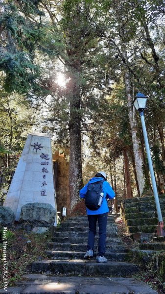 《嘉義》森鐵雲海｜阿里山祝山觀日步道對高岳車站202312292388829