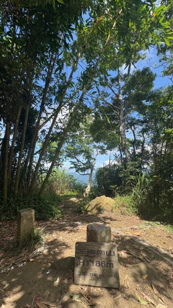 三腳南山2799590