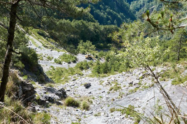 南橫三星兩日包車2882857