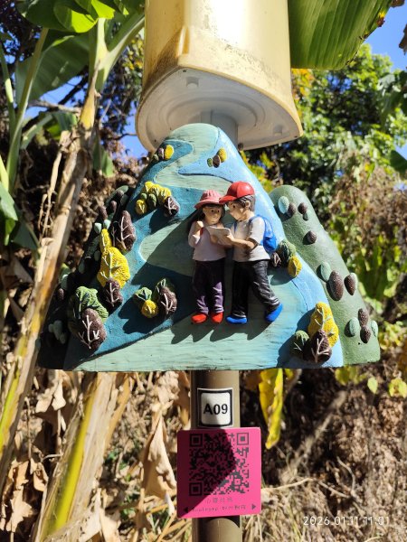 【臺中必訪步道】大坑9、10號步道  【小百岳集起來】#42 南觀音山3009465