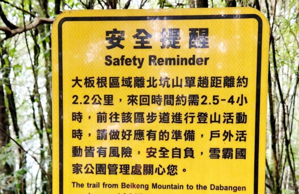 【中級山縱走】觀雪縱走（雪見大板根，仰天神木，北坑山，司馬限林道）2741248