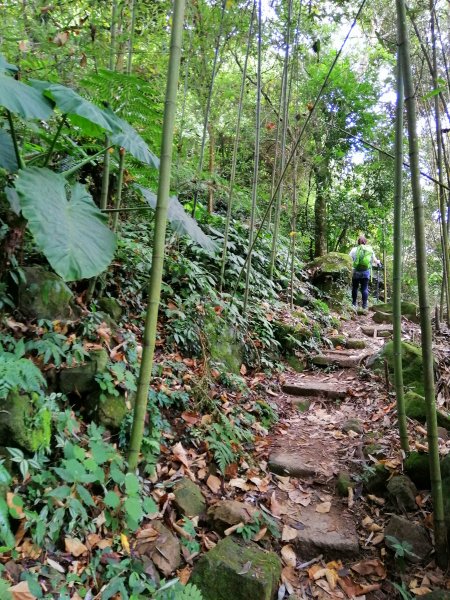 【苗栗大湖】台灣百大必訪步道~馬那邦山1173185