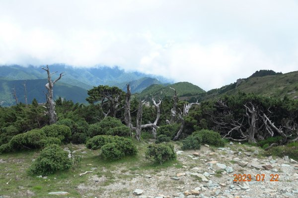 臺東 海瑞 三叉山、嘉明湖2229128