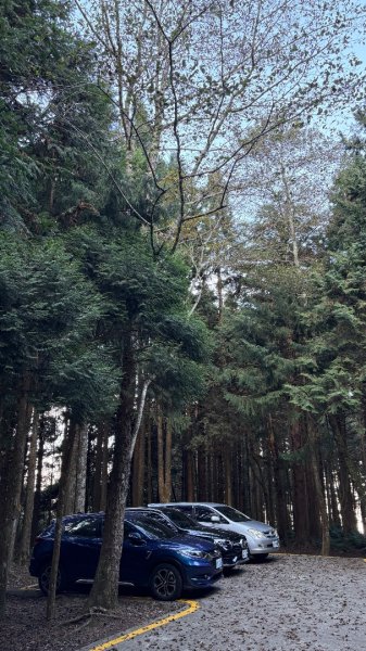 再也不爬囉（告別20252973147