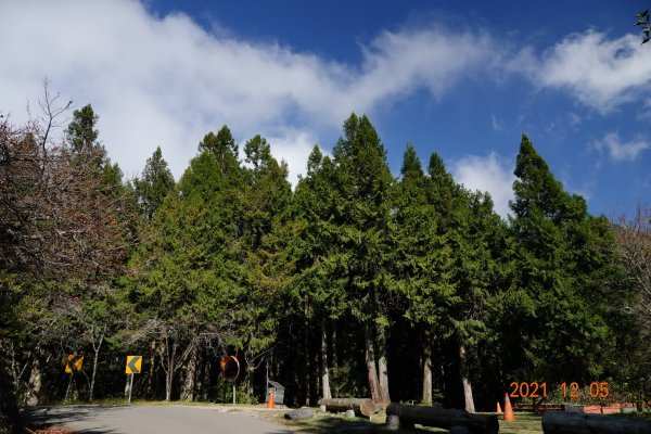 苗栗 泰安 榛山步道、榛山1540305