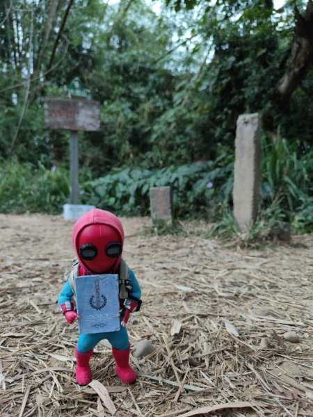 2023.12.23 高雄大崗山2834935