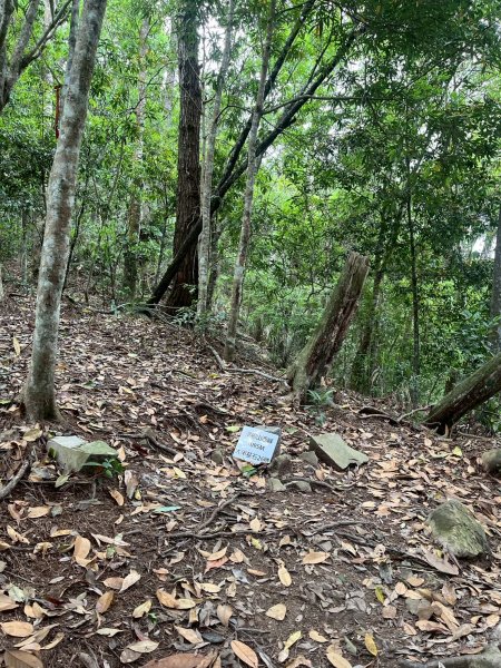 台中 和平 東卯山2771818