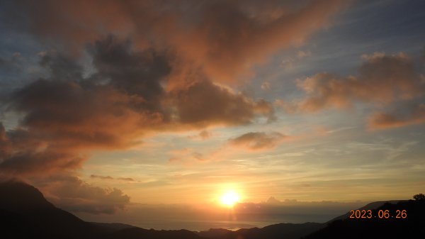 雲山水花鳥蝶 - 天龍國阿伯的日常 6/262195486