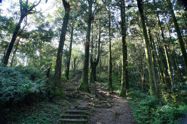 桃園-三峽 志繼山、東眼山、拉卡山、卡外山3005183