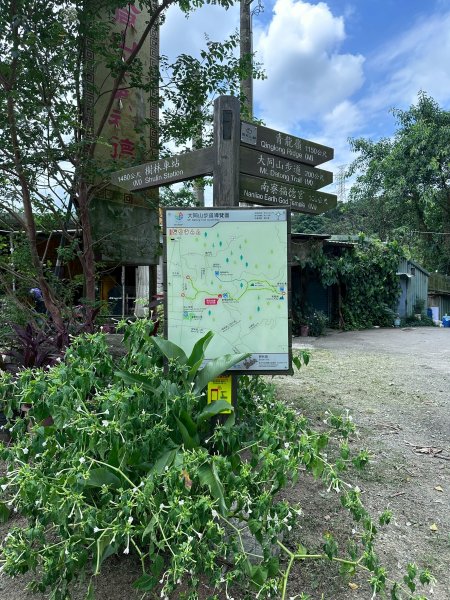 大棟山系第一段、第二段一起走2857248