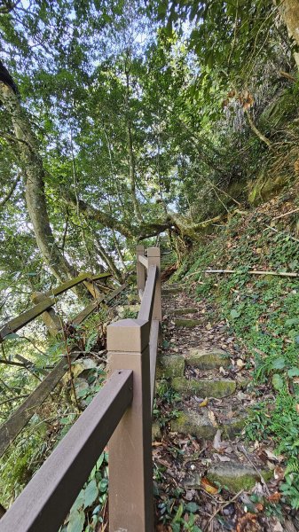 【四大天王山O型縱走未竟之旅：封山中的靜謐與省思】解鎖嘉義竹崎四大天王山、知鳥山。2929908