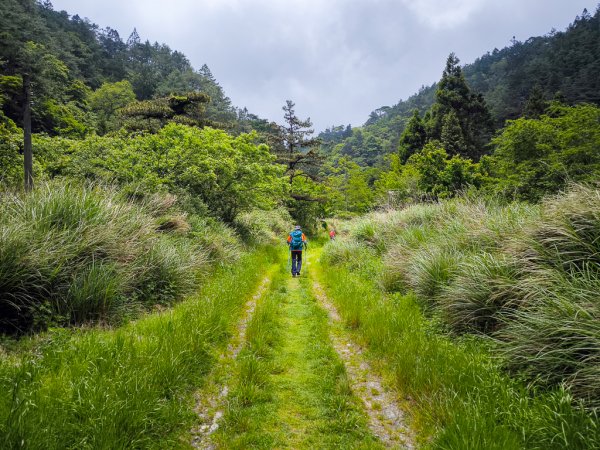 2025-05-17 羅葉尾溪秘境2792399