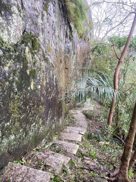 災後紅河谷越嶺小獅山仙跡岩觀音山路況2641468