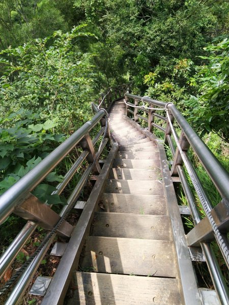 挑戰1063階的木棧階梯。 新田登山步道776944