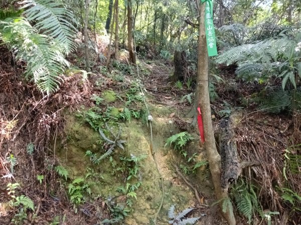 汐止區金明山B線+如意湖O型2860243