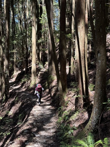 馬崙山 202509062889337