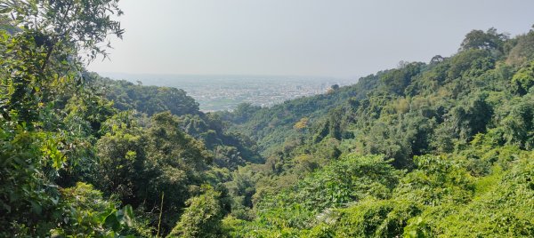 頭嵙山、聚興山3123090