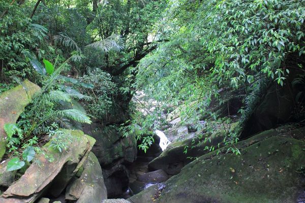 基隆暖東峽谷藍紅線O型走154620