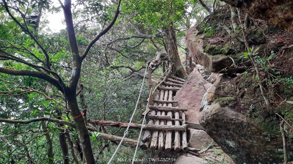 《新竹》斷崖神木｜北得拉曼步道小P繞202510172917586