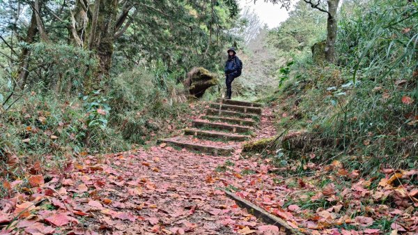神阿縱走~台灣難抵極~大塔山2971488