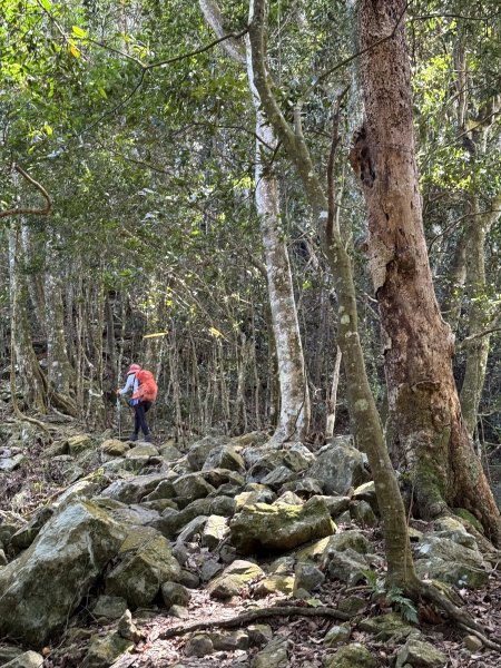 屋東縱走 202503012729001