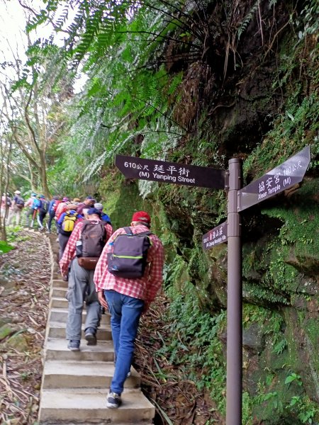 【小百岳集起來】 #007 基隆紅淡山 H210m, 三等三角點 #10241634315